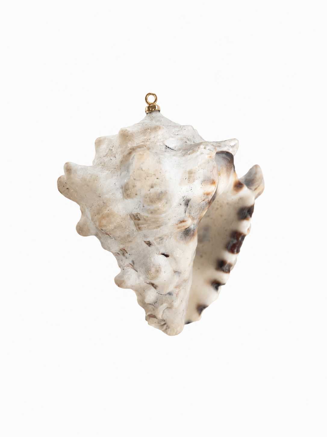 Shore Relic No. 07
